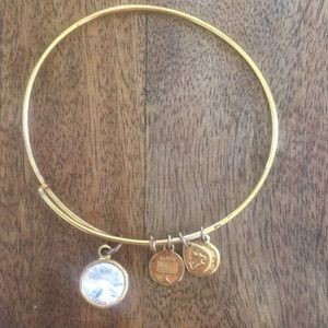 Alex and Ani bracelet with jewel